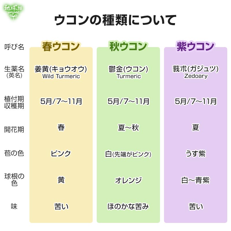 ͭ����������ѥ����� 60g