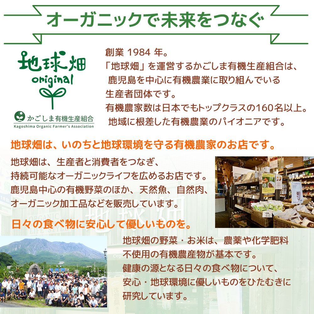 �ϵ�Ȫ��ͭ����ڤ��äפꥫ�졼�ʥ������˥å����ꥸ�ʥ��180g��24P