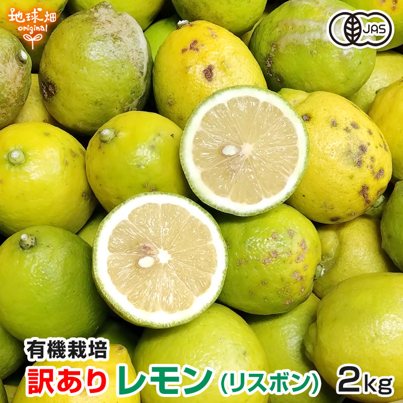 ������ ����(�ꥹ�ܥ�) 2kg ͭ������ ȯ������10������1��