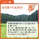 ͭ���ѥå����Ϥ�(����) 150g �ѥå����Ϥ� �ҥΥҥ��� �����縩��