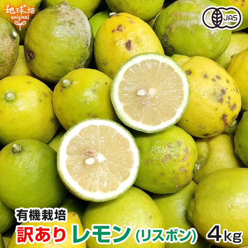 ������ ����(�ꥹ�ܥ�) 4kg ͭ������ ȯ������10������1��