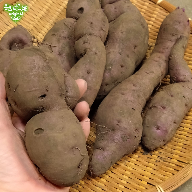 �Ĥ�鷺�� ������ ��� 4kg ȯ������9���11��