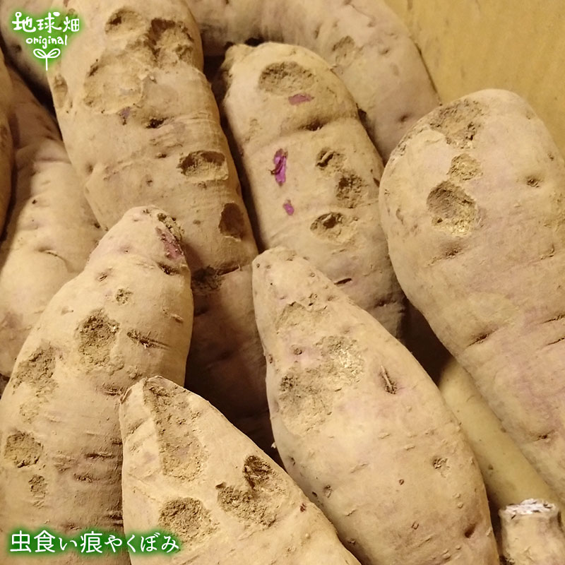 �Ĥ�鷺�� ������ ��� 4kg ȯ������9���11��