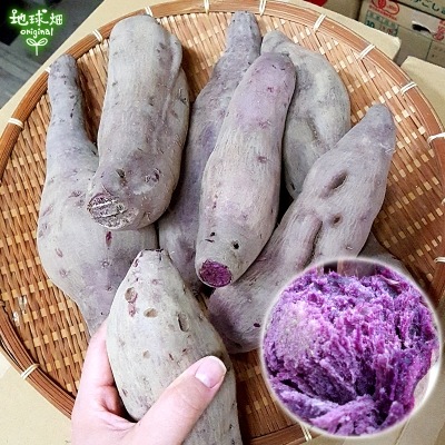 �Ĥ�鷺�� ������ ��� 4kg ȯ������9���11��