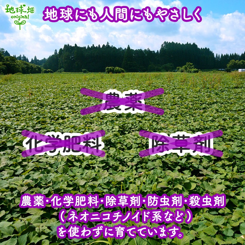 ������ ��� 9kg 2026ǯ�� ȯ������9���11��