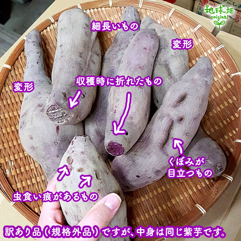 ������ ��� 9kg 2026ǯ�� ȯ������9���11��