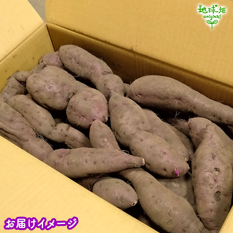 ������ ��� 9kg 2026ǯ�� ȯ������9���11��