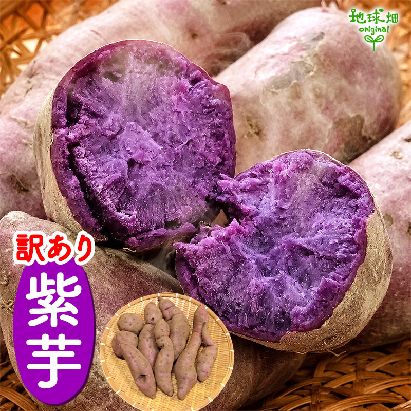 ������ ��� 9kg 2026ǯ�� ȯ������9���11��