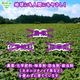 ������ ��� 9kg 2026ǯ�� ȯ������9���11��