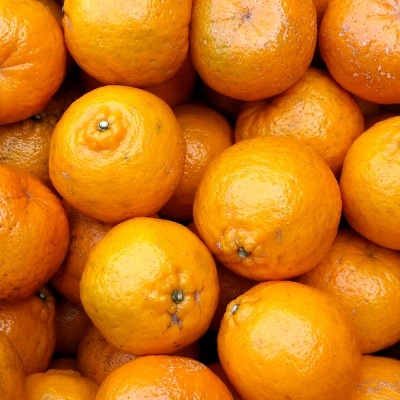 �ݤ󤫤� 16kg ȯ������12��ܡ�2����� �ݥ󥫥�