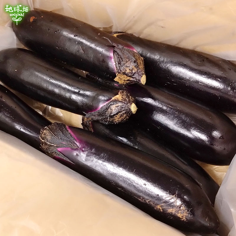 �ʤ� 1kg(6��8��) ��¢�� ȯ������6���9��