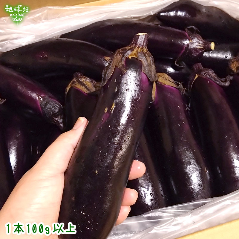 �ʤ� 1kg(6��8��) ��¢�� ȯ������6���9��