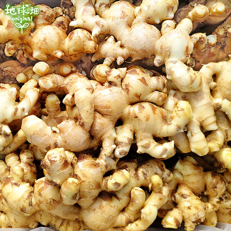 2025ǯ�� ����ժ 150g�ѥå� ���礦��