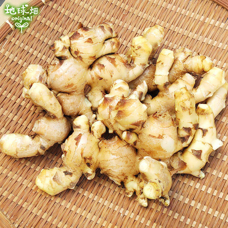 2025ǯ�� ����ժ 2kg ���礦��