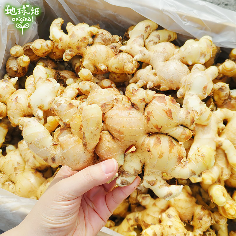 2025ǯ�� ����ժ 2kg ���礦��