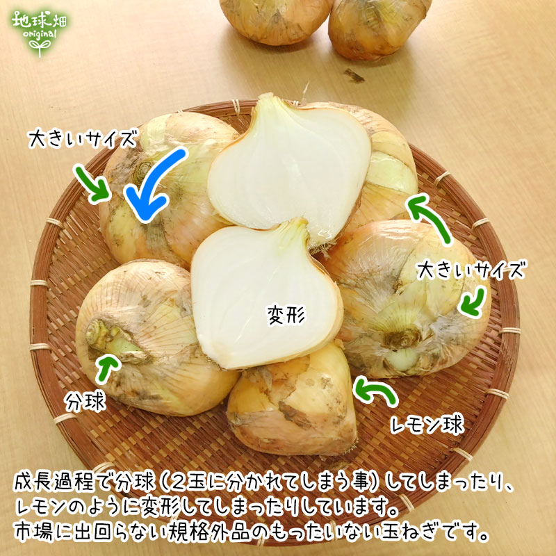 ������ ���ޤͤ� 4kg �̤ͤ� ��Ǭ ȯ������4��6��