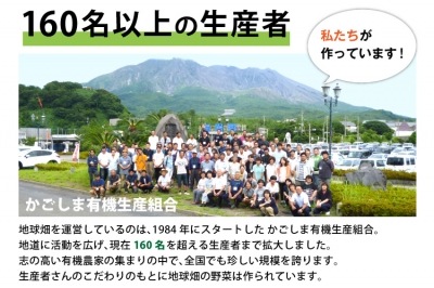 ͭ����ڥ��å� ���ޤ��������� ��¢��