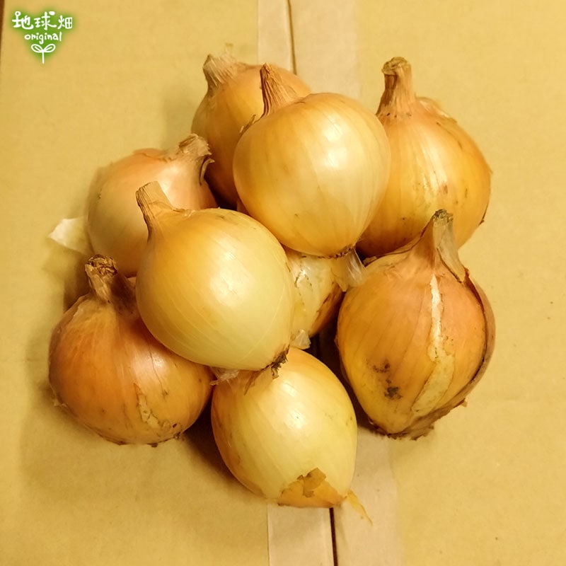 たまねぎ S 4kg (1個100g未満) 玉ねぎ 玉葱 発送期間4～6月 | 箱
