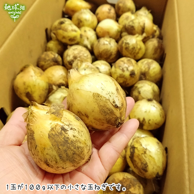 ���ޤͤ� S 4kg (1��100g̤��) �̤ͤ� ��Ǭ ȯ������4��6��