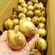 ���ޤͤ� S 4kg (1��100g̤��) �̤ͤ� ��Ǭ ȯ������4��6��