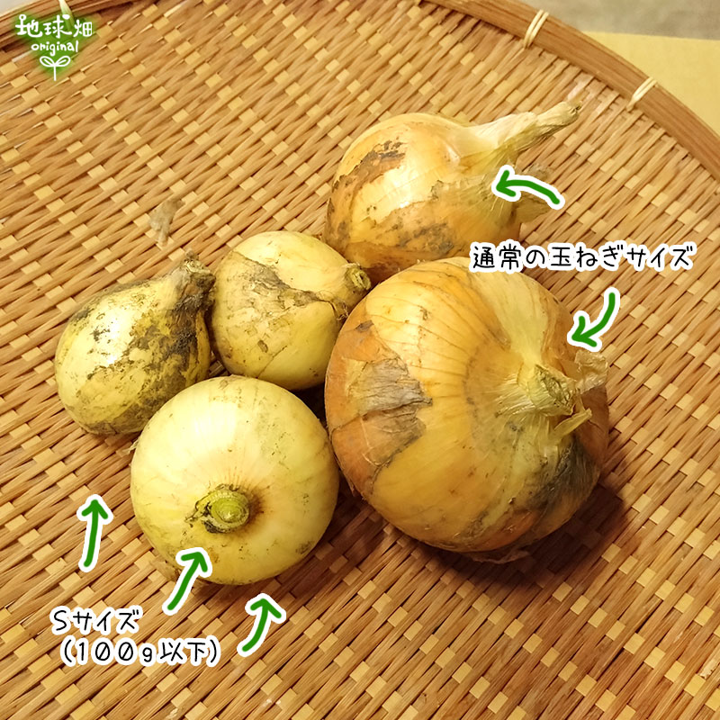 ���ޤͤ� S 8kg (1��100g̤��) �̤ͤ� ��Ǭ ȯ������4��6��