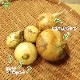 ���ޤͤ� S 8kg (1��100g̤��) �̤ͤ� ��Ǭ ȯ������4��6��