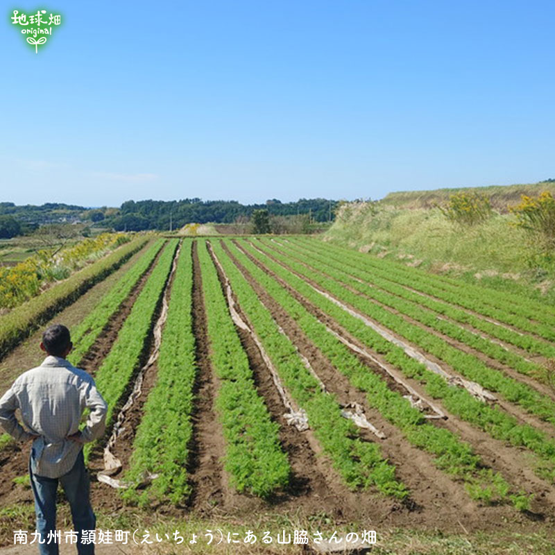 ���䤢�꤬�Ȥ��������ޤ��� ���Ƥ����ͭ���ͻ� ML������ 5kg ȯ������1���3�� �ڻ���ľ��������̵�� �������ϰ����������� ��ľ