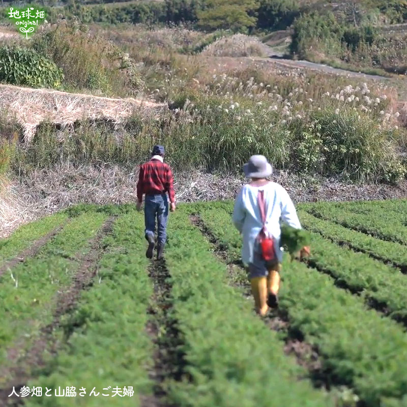 ���䤢�꤬�Ȥ��������ޤ��� ���Ƥ����ͭ���ͻ� ML������ 5kg ȯ������1���3�� �ڻ���ľ��������̵�� �������ϰ����������� ��ľ