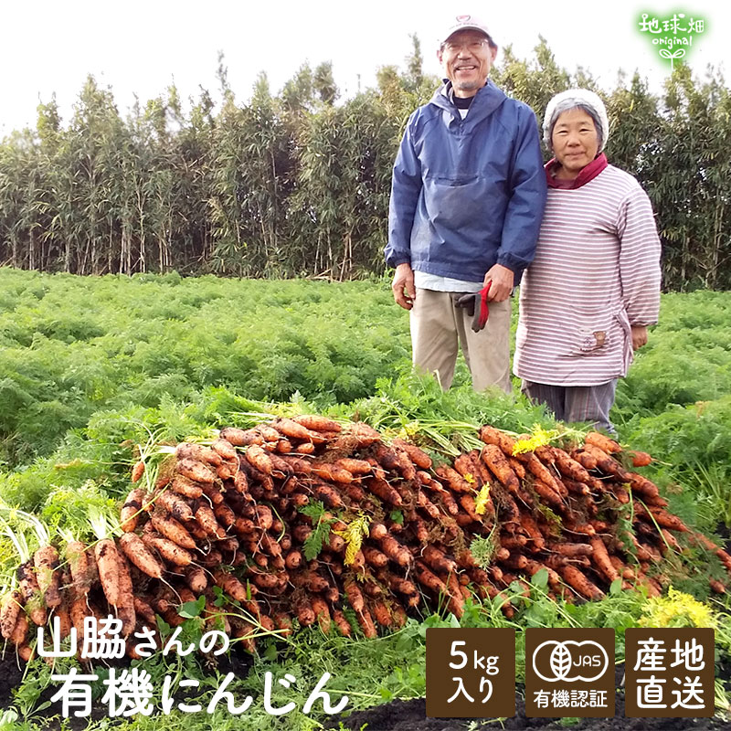 ���䤢�꤬�Ȥ��������ޤ��� ���Ƥ����ͭ���ͻ� ML������ 5kg ȯ������1���3�� �ڻ���ľ��������̵�� �������ϰ����������� ��ľ