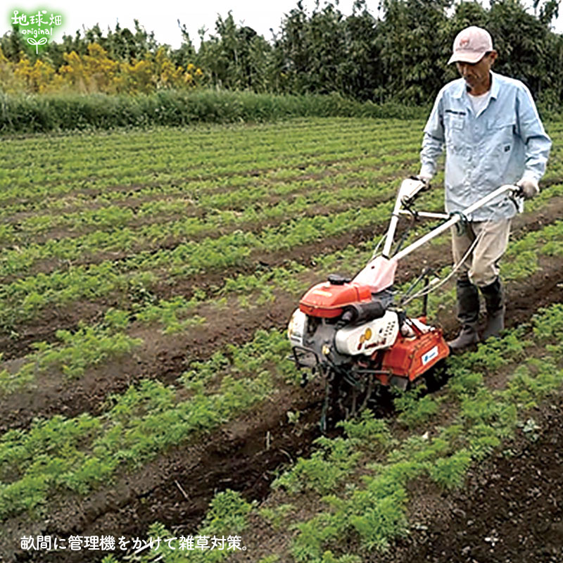 ���䤢�꤬�Ȥ��������ޤ��� ���Ƥ����ͭ���ͻ� ML������ 5kg ȯ������1���3�� �ڻ���ľ��������̵�� �������ϰ����������� ��ľ