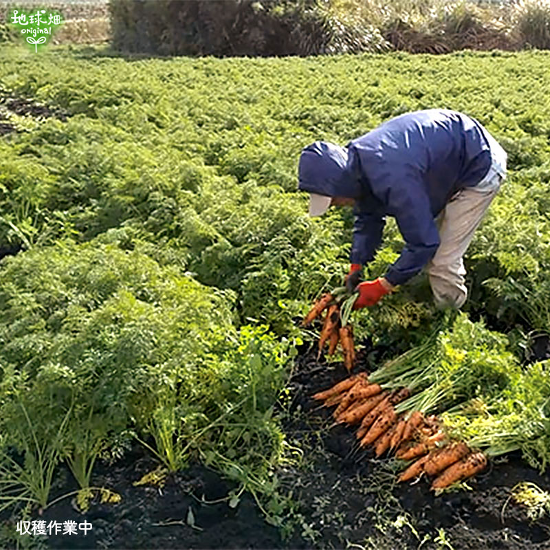 ���䤢�꤬�Ȥ��������ޤ��� ���Ƥ����ͭ���ͻ� ML������ 5kg ȯ������1���3�� �ڻ���ľ��������̵�� �������ϰ����������� ��ľ