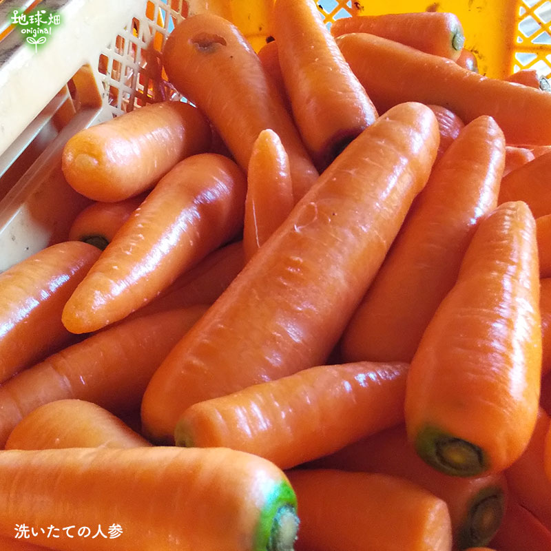 ���䤢�꤬�Ȥ��������ޤ��� ���Ƥ����ͭ���ͻ� ML������ 5kg ȯ������1���3�� �ڻ���ľ��������̵�� �������ϰ����������� ��ľ