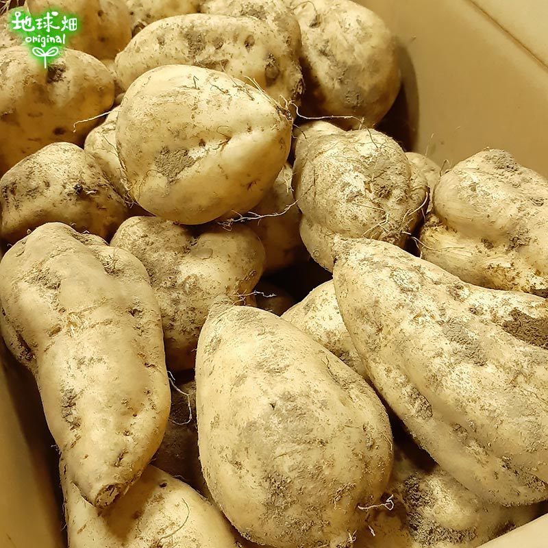  (100500gML) 9kg 10ܡ11