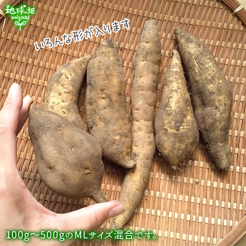  (100500gML) 9kg 10ܡ11