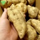  (100500gML) 9kg 10ܡ11