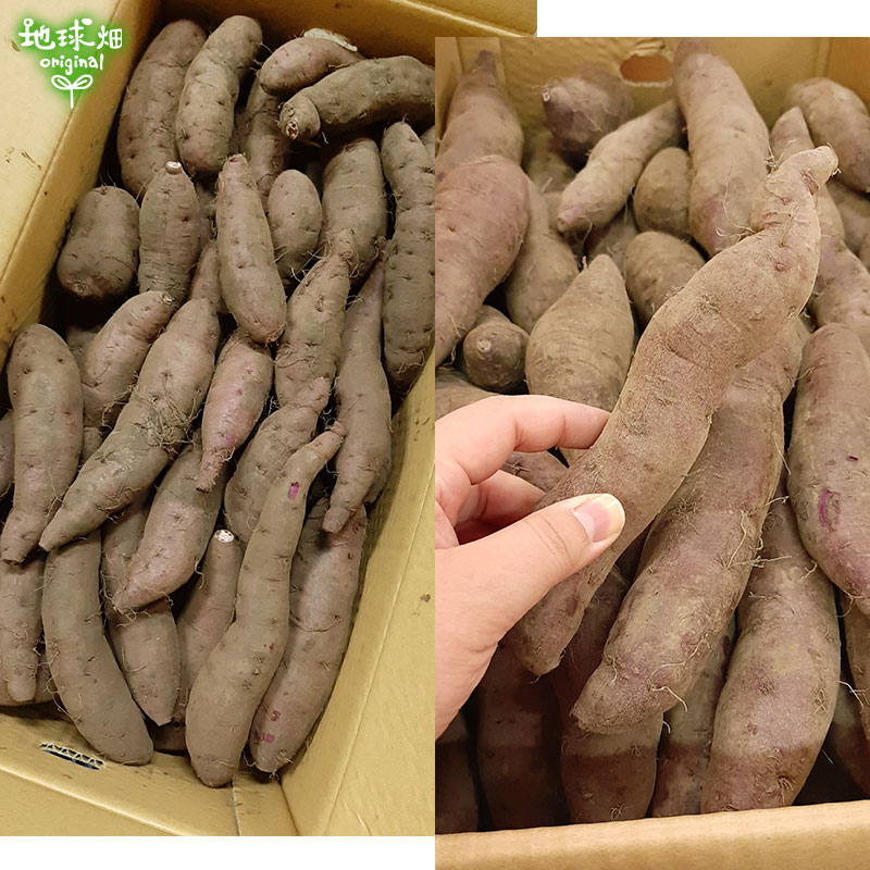 久保田さんの紫芋 ML (1本100～500g) 2kg 発送期間8月下旬～10月