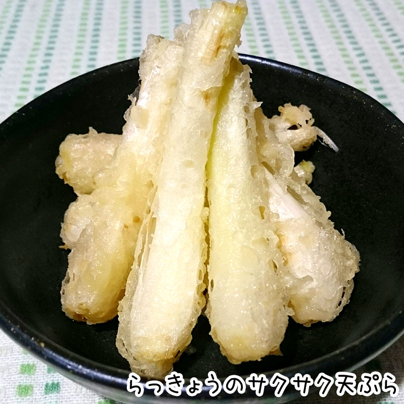 䤢꤬Ȥޤ ä礦 2kg ¢ ȯ46