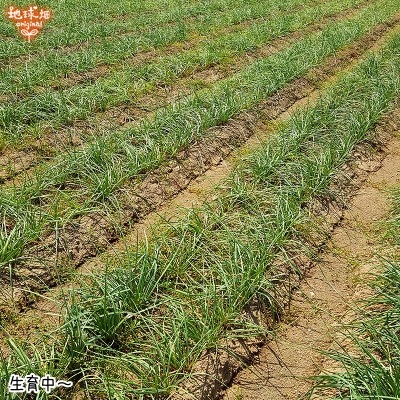 䤢꤬Ȥޤ ä礦 2kg ¢ ȯ46