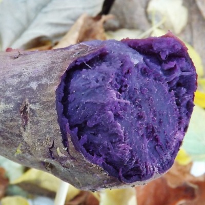 �Ĥ�鷺�� �����Ĥ���λ�� ML (1��100��500g) 4kg ȯ������8��ܡ�1��