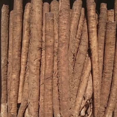 ���ܤ� 4kg ȯ������6���