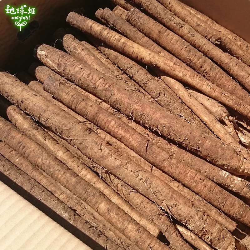 ���ܤ� 4kg ȯ������6���