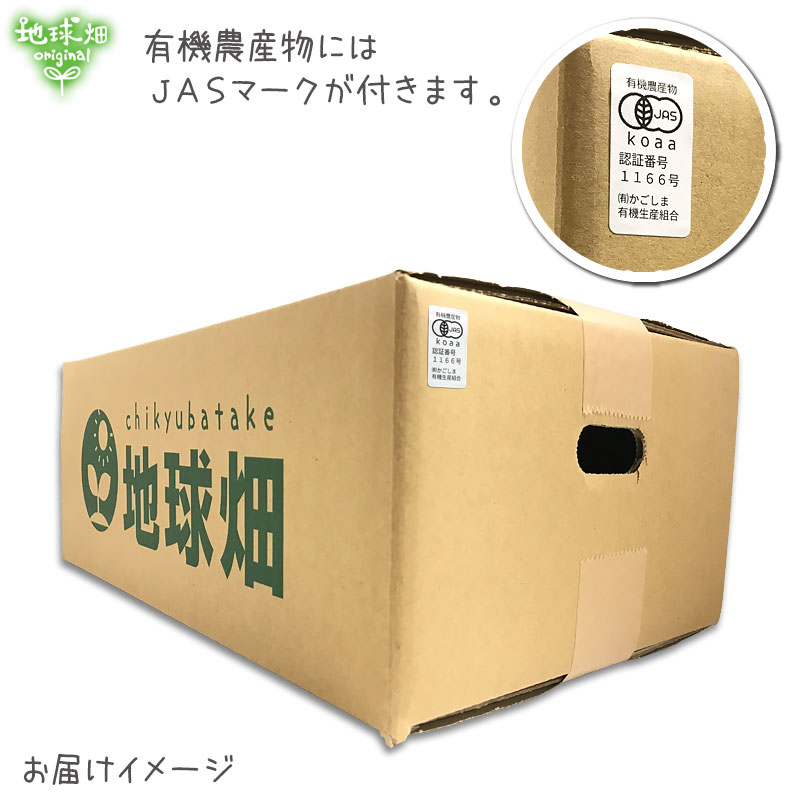 �����Ĥ���λ�� ML (1��100��500g) 9kg 2026ǯ�� ȯ������9���11��
