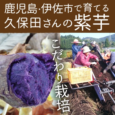 �����Ĥ���λ�� ML (1��100��500g) 9kg 2026ǯ�� ȯ������9���11��