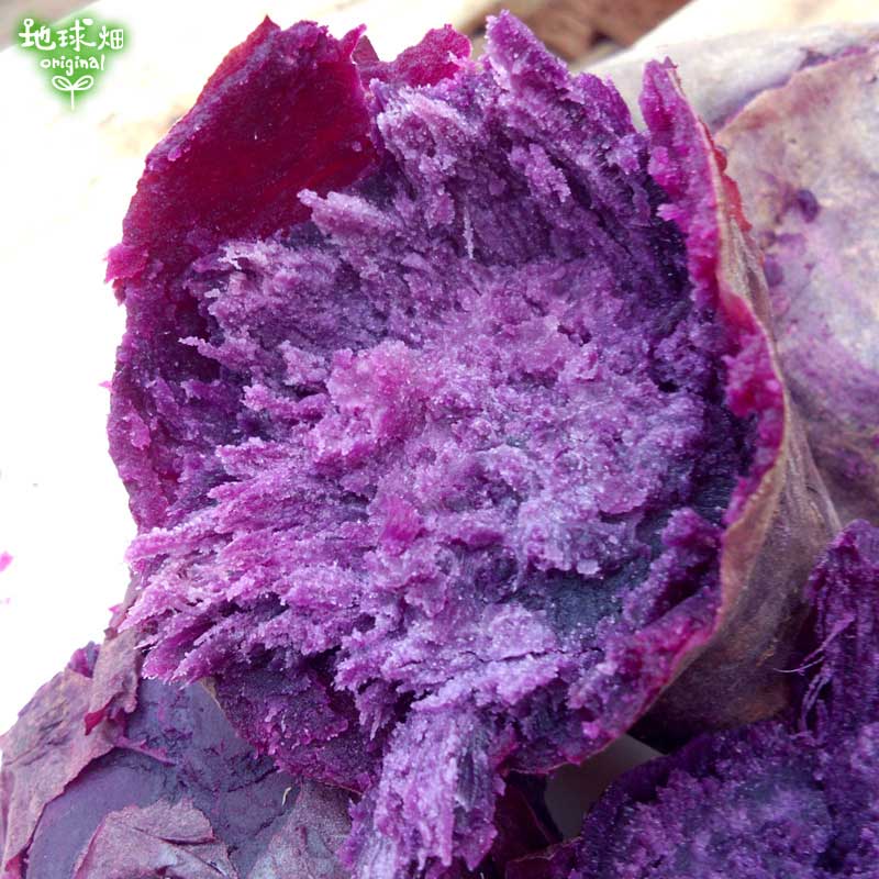 �����Ĥ���λ�� ML (1��100��500g) 9kg 2026ǯ�� ȯ������9���11��