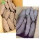 �����Ĥ���λ�� ML (1��100��500g) 9kg 2026ǯ�� ȯ������9���11��