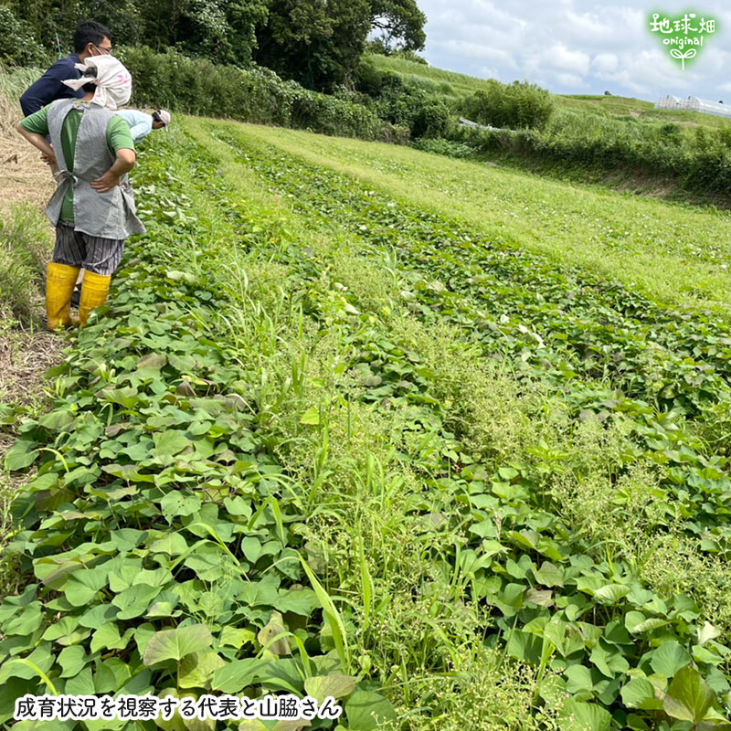 ���䤢�꤬�Ȥ��������ޤ��� ���Ƥ����ͭ���ȤϤ뤫 ML������ 3kg �ڻ���ľ��������̵�� �������ϰ����������� ��ľ