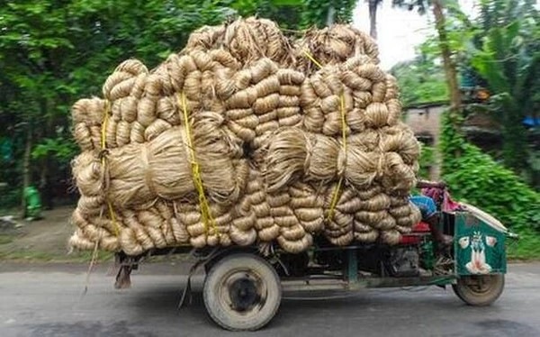 ��Eco Herb�ۡڥ����ƥ��ʥ֥�ʥȡ��ȥХå��ۡ��ܳ�x����ȡ��ȥХå���Ĺ��������������ǽ��΢�ʤ�B