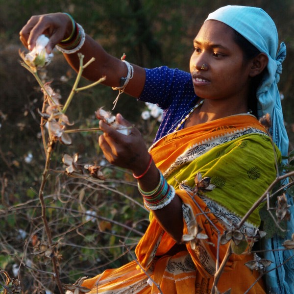 ��2024�ղơաڥ����๩˼��OCK ���ȥ졼�ȥ����ǥ�����