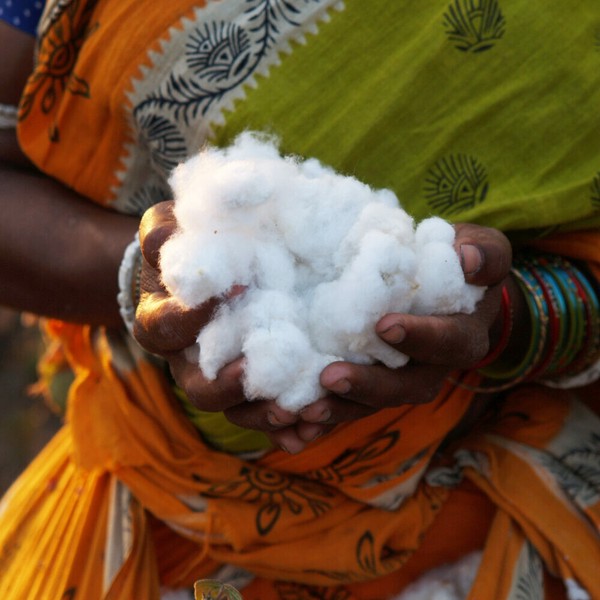 ��2024�ղơաڥ����๩˼��EMOCK ��˥��å���ĹµT�����