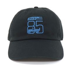 85th CAP
